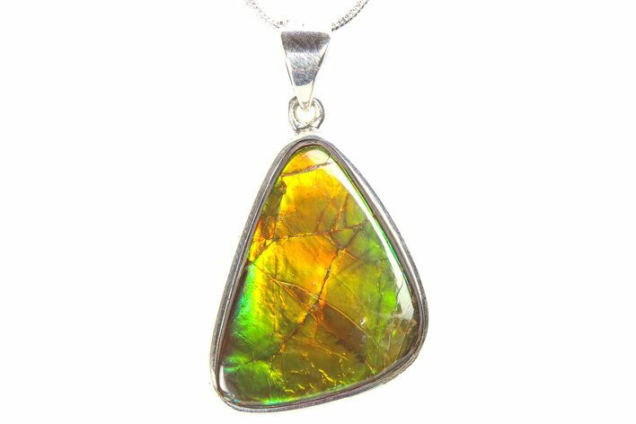 Stunning Ammolite Pendant (Necklace) - Sterling Silver #278450